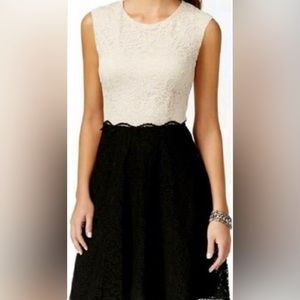 Betsey Johnson Lace Fit & Flare Dress Cream/Black Size 6 Party /Valentines Day